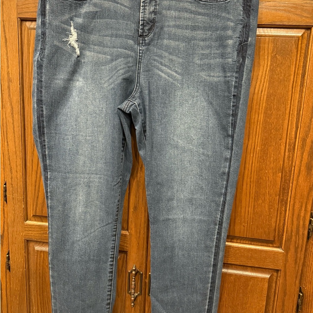 Hannah Skinny Jeans 18W Distressed Medium Wash Women’s